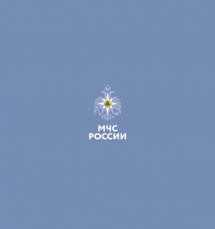 Более 70 тысяч сообщений с экстренной информацией получили пользователи мобильного приложения «МЧС России»