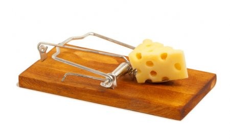 Архангелогородцы рассказали, чем их переманивают конкуренты