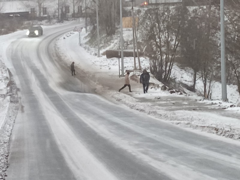 Две беды Вилегодского округа Архангельской области