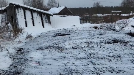 В центре Коноши наконец зачистили нелегальную мусорную свалку