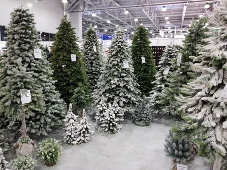 Покупка новогодней елки в Интернете обернулась для архангелогородки обманом