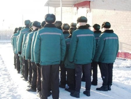 Юный мошенник из Архангельска отправится в воспитательную колонию