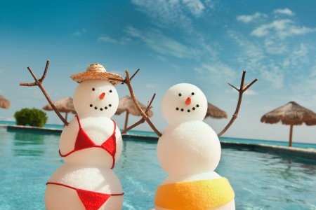 Архангелогородцы не хотят уходить в отпуск в Новый год