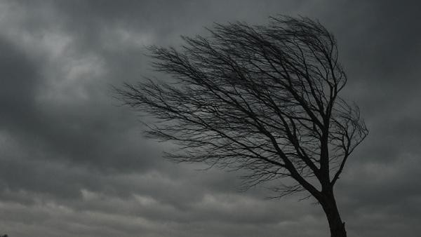 Северный ветер разгонится до 20 м/с в преддверии выходных в Архангельской области Северный ветер разгонится до 20 м/с в преддверии выходных в Архангельской области