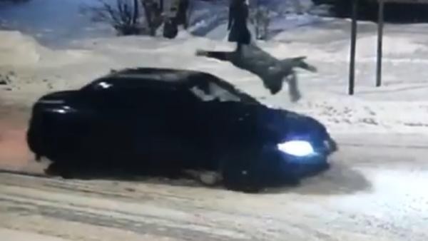 Видео: в Архангельске женщина перелетела через автомобиль после удара на «зебре» Видео: в Архангельске женщина перелетела через автомобиль после удара на «зебре»