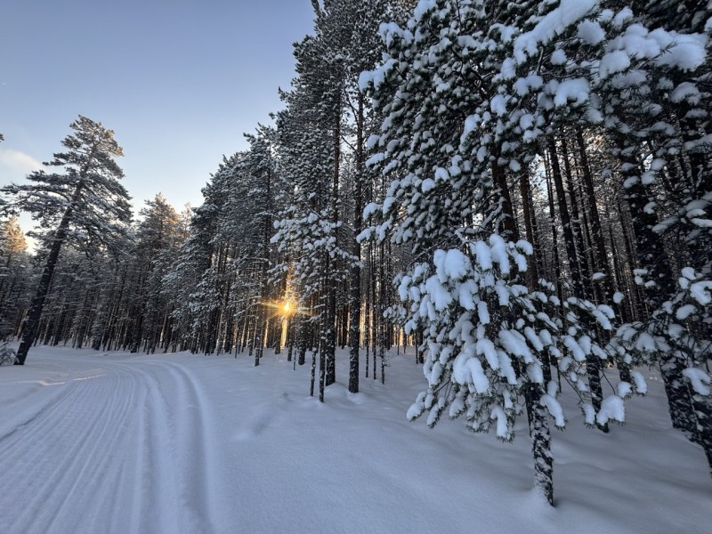 Первая помощь при переохлаждении: рекомендации МЧС Первая помощь при переохлаждении: рекомендации МЧС