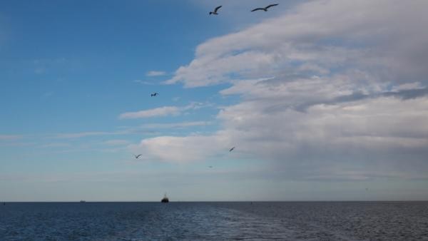 В Северодвинске сегодня снова услышат залпы: у военных запланированы учения В Северодвинске сегодня снова услышат залпы: у военных запланированы учения