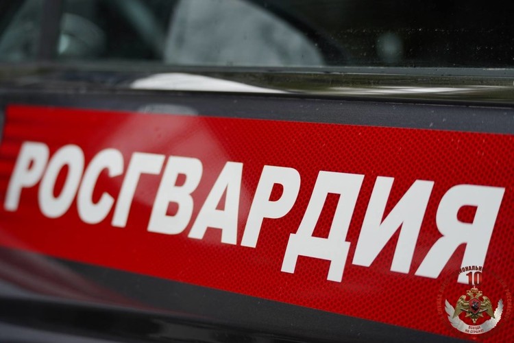 Росгвардейцы Мирного нашли маленького мальчика, не вернувшегося домой с вечерней прогулки Росгвардейцы Мирного нашли маленького мальчика, не вернувшегося домой с вечерней прогулки