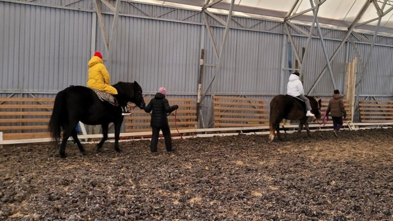 Архангельский клуб любителей лошадей проводит занятия для детей и людей старшего поколения Архангельский клуб любителей лошадей проводит занятия для детей и людей старшего поколения
