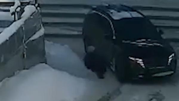 Видео: маленькая девочка угодила прямо под машину на Поморской в Архангельске Видео: маленькая девочка угодила прямо под машину на Поморской в Архангельске