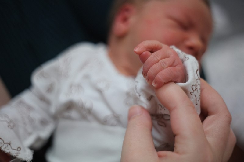 Любомир, Гертруда и Мирослав: какие имена в Поморье дали новорожденным в феврале Любомир, Гертруда и Мирослав: какие имена в Поморье дали новорожденным в феврале