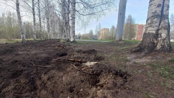 Архангельские активисты заявили о «варварском» благоустройстве парка Ломоносова Архангельские активисты заявили о «варварском» благоустройстве парка Ломоносова