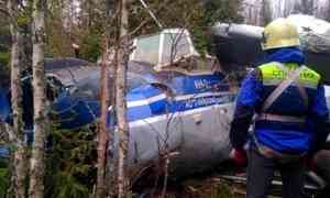 Стали известны подробности аварийной посадки пассажирского Ан-2