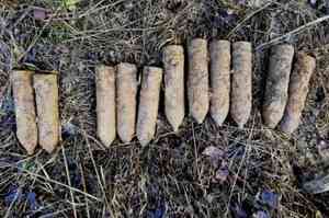В Виноградовском районе найдено 11 боеприпасов времён интервенции
