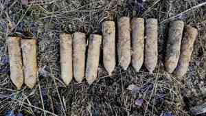 В Виноградовском районе нашли 11 артиллерийских снарядов времён Первой мировой войны