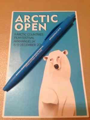 Кинофестиваль «Arctic open» в Северодвинске уже открыт