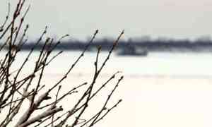Крепких морозов в Поморье синоптики пока не обещают