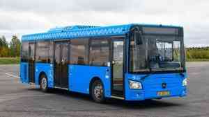 Ещё 30 низкопольных автобусов выходят на архангельские маршруты