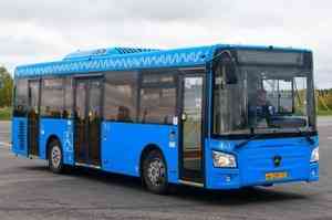 В Архангельске появится 30 новых общественных автобусов