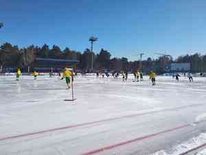 «Водник» вылетел из плей-офф Чемпионата России по хоккею с мячом