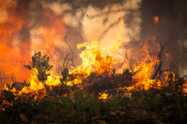 В Архангельской области начинается пожароопасный сезон