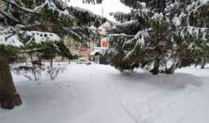 Архангельские синоптики рассказали о погоде на выходные: снегопадов не ожидается