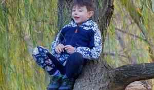В Архангельске мальчик залез на дерево — на три метра над землёй. Снимать его оттуда приехали спасатели