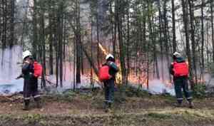 Продолжается ликвидация ландшафтных пожаров на территории Российской Федерации