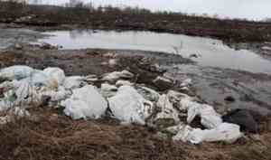 Снежный полигон в Архангельске утопает в бытовом мусоре 