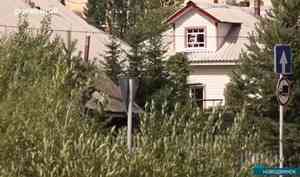 В Новодвинске жители индивидуальных домов не могут дождаться дров