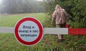 С 18 августа вход в лес снова запрещён в Архангельской области
