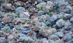 Прокуратура требует устранения несанкционированных свалок отходов на Шиесе