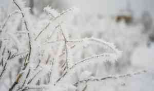 6 декабря в Архангельской области будет морозно