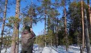 Всероссийский день заповедников и нацпарков: в Кенозерье подвели итоги работы по сохранению природного наследия