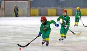 В Архангельске пройдут всероссийские юношеские соревнования по хоккею с мячом