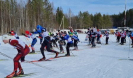 На базе «Илес» прошли Чемпионат и Первенство САФУ по лыжным гонкам