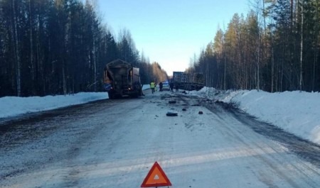 В Холмогорском районе в ДТП с лесовозом погибли два человека