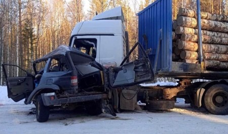 Стали известны подробности смертельной аварии на федеральной трассе в районе посёлка Брин-Наволок