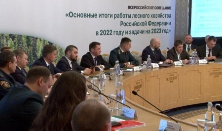 Опыт лесоустройства в Архангельской области представили на совещании Федерального агентства