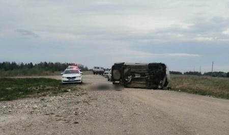 Под Вельском в автоаварии погиб незаконопослушный мужчина