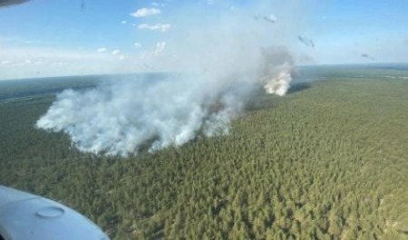 В Онежском лесничестве ликвидировали угрожавший деревне лесной пожар