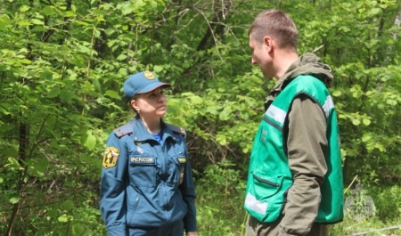 Новые средства фиксации нарушителей в лесах устанавливают сотрудники Госпожнадзора и лесоохраны в Хабаровском крае