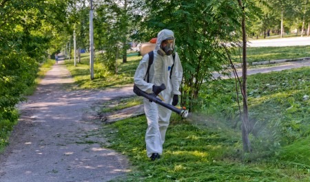 В Архангельской области вводят массовую обработку территорий от клещей