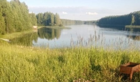 В Плесецком районе нашли тело пропавшего три дня назад мужчины 