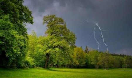 Циклон с Москвы принес в Архангельскую область обильные дожди и грозы