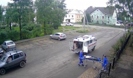 В Вельском районе госпитализировали северянина после укуса гадюки