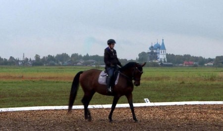 В Заостровье московские наездники дают мастер-класс по конному спорту