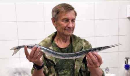 В Белом море поймали редкую остроносую рыбу: что это за вид