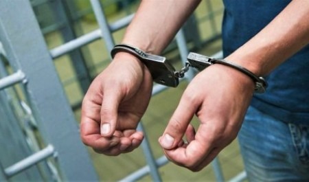 В Петрозаводске архангельской полицией задержан преступник из Вологды