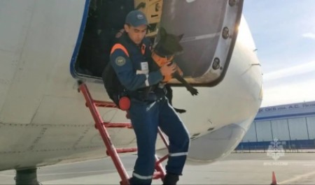 Группа из 50 спасателей МЧС России вернулась из Ливии домой